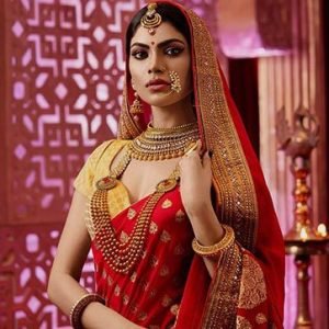 Bridal Sarees